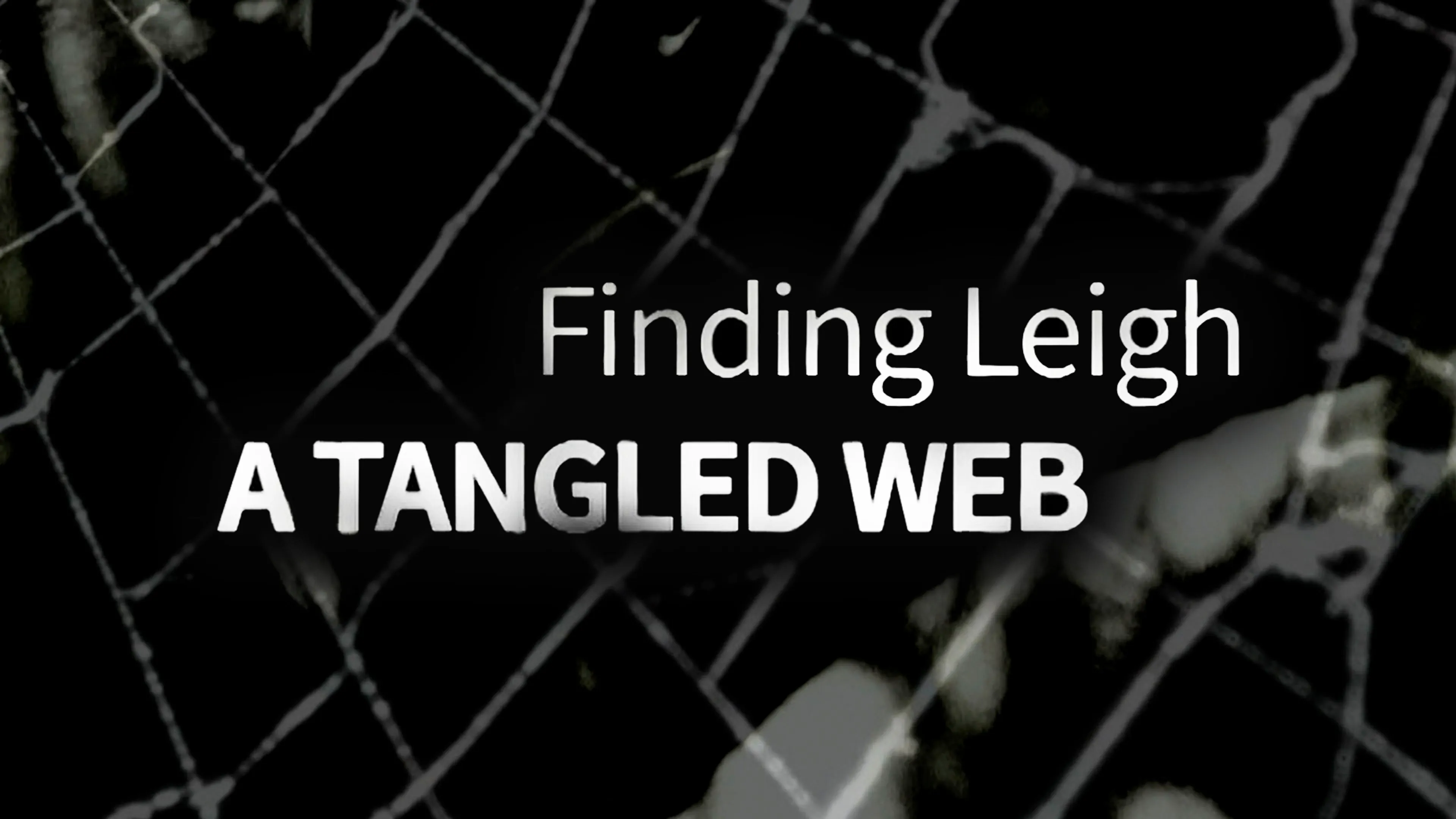 Finding Leigh: A Tangled Web poster